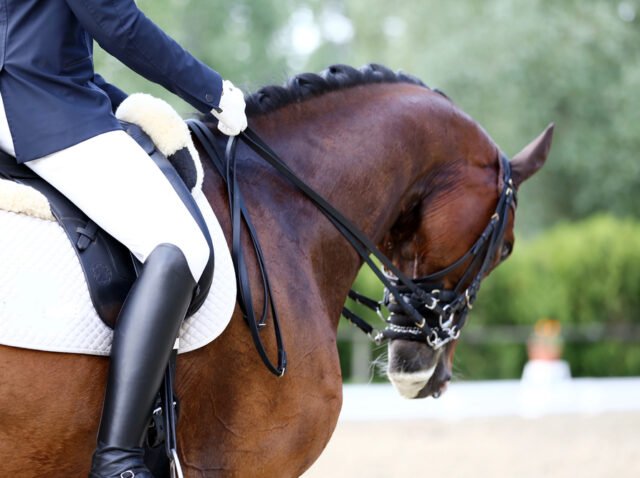 Depositphotos_200461106_S