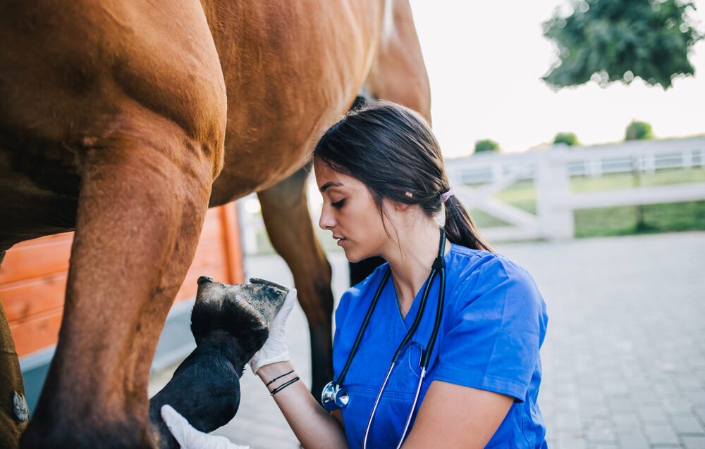 Depositphotos_209681936_S