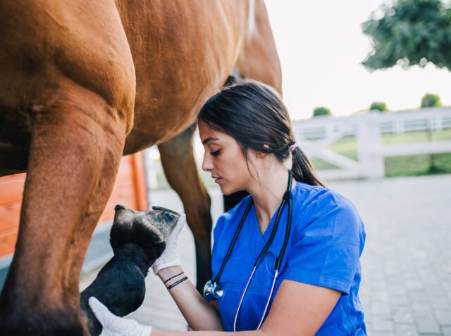 Depositphotos_209681936_S