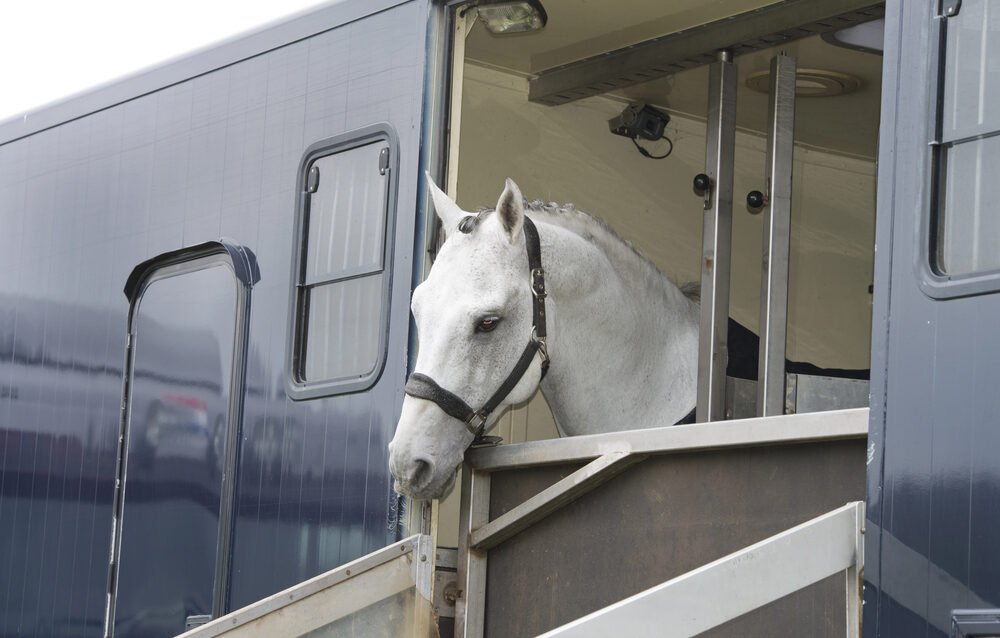 Depositphotos_26529979_S