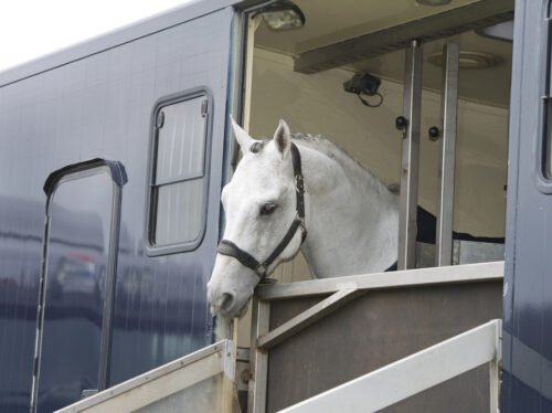 Depositphotos_26529979_S