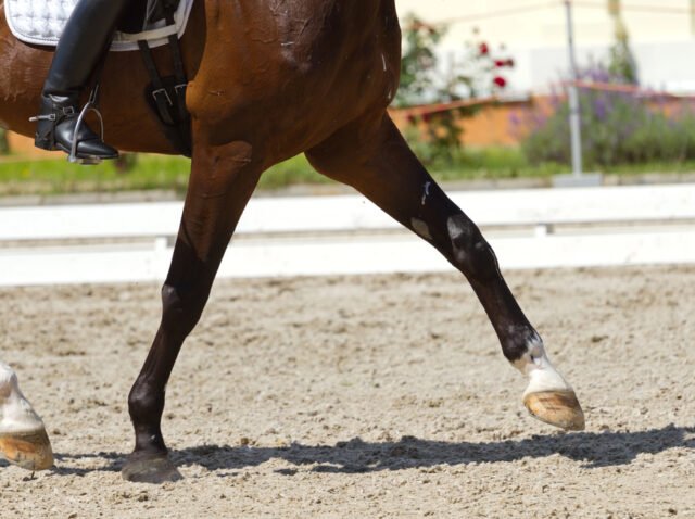 Depositphotos_49342229_S